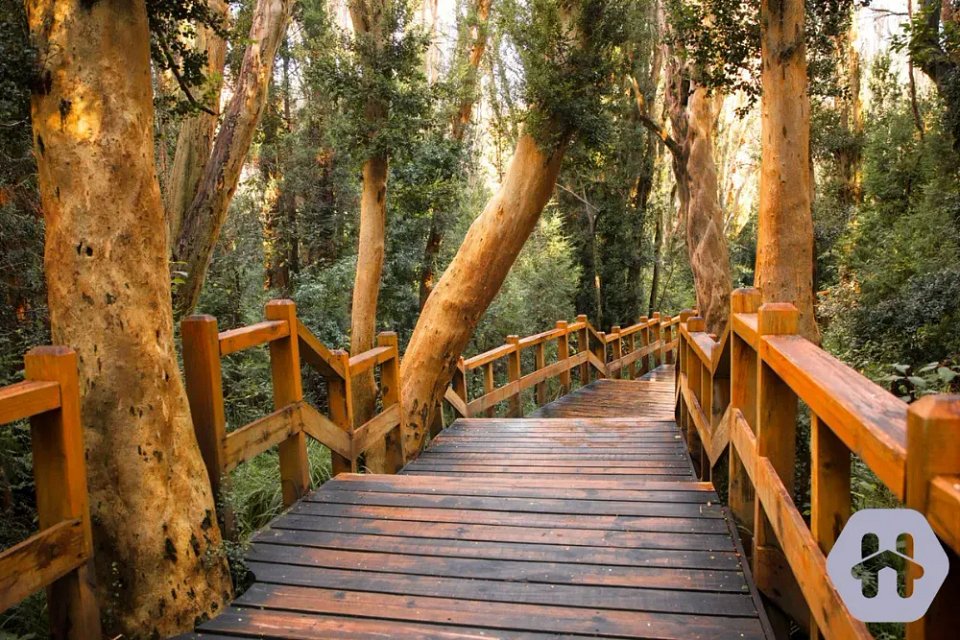 Los Mejores Senderos y Trekkings de Villa La Angostura: Aventuras para Todos los Niveles